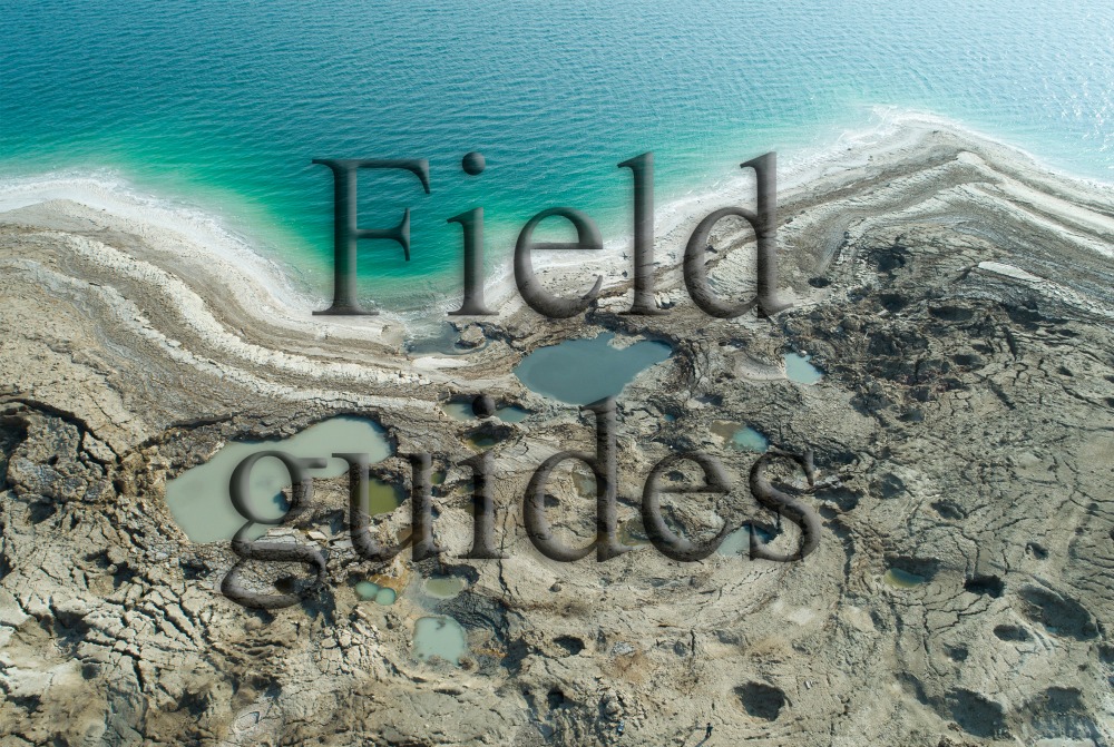 guides