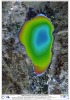 Multibeam Bathymetry of the Sea of Galilee